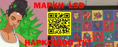 не бодяженный Сланцы