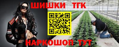 не бодяженный Сланцы